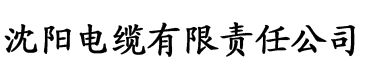 久久精品成人无码观看不卡电缆厂logo